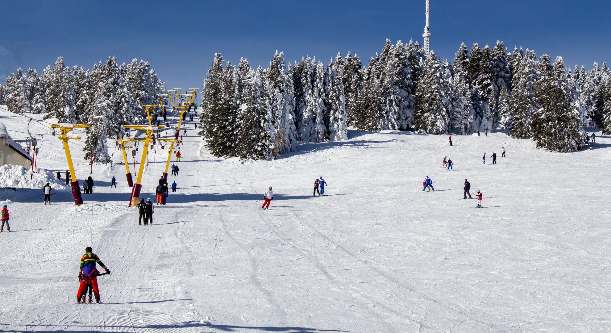 Winter Wonderland_ Jackson Hole's Premier Skiing Resorts
