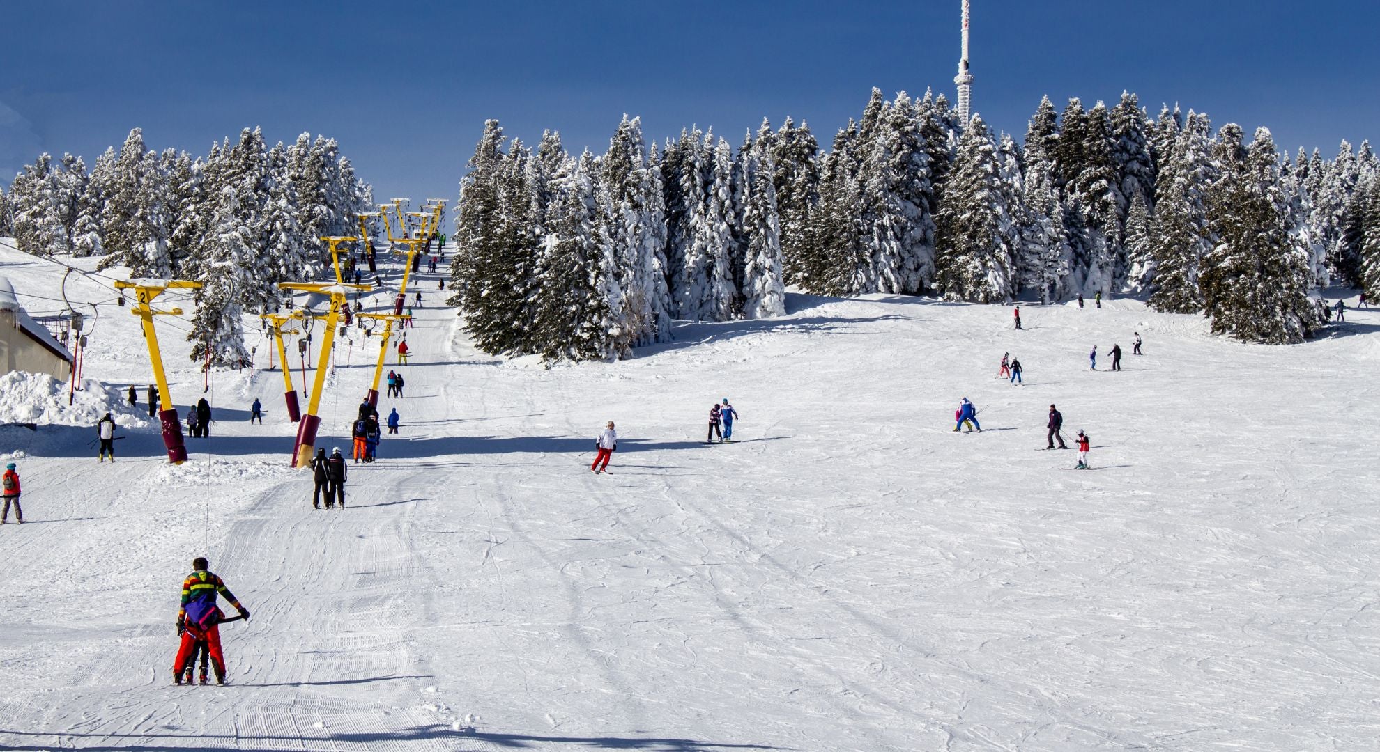 Winter Wonderland: Jackson Hole's Premier Skiing Resorts